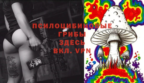 марки nbome Нязепетровск