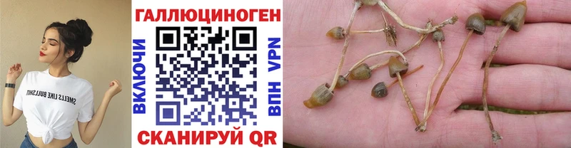 Галлюциногенные грибы MAGIC MUSHROOMS  Апшеронск 