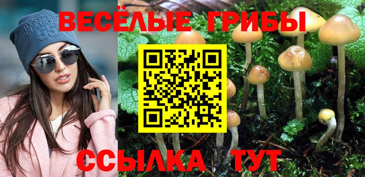 Псилоцибиновые грибы Psilocybine cubensis Апшеронск