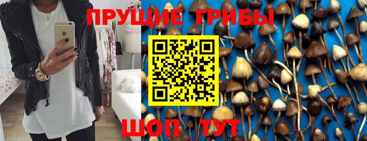 Апшеронск  Псилоцибиновые грибы Magic Shrooms  хочу   Вход с VPN 