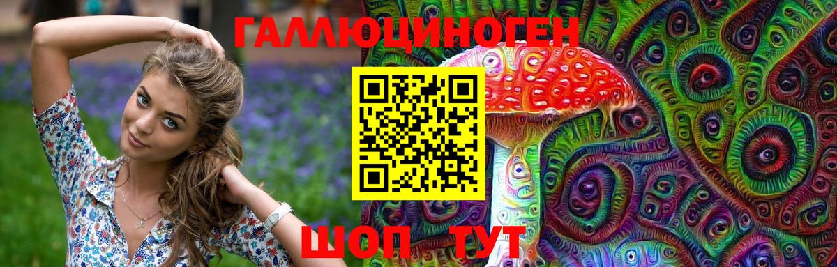 Псилоцибиновые грибы Psilocybine cubensis  Апшеронск 