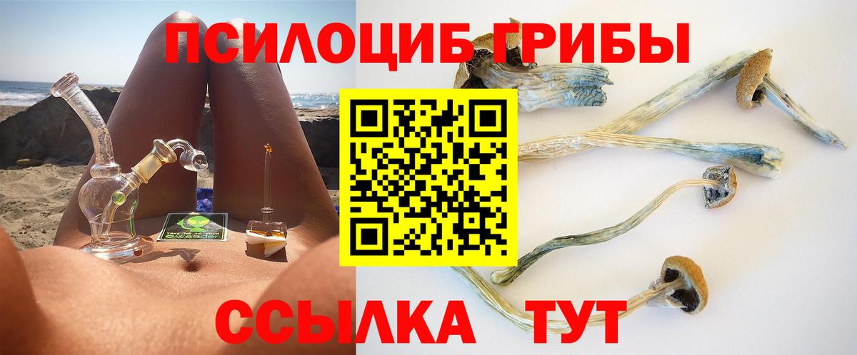 Галлюциногенные грибы мухоморы Апшеронск